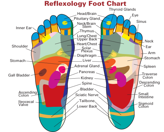 footchart