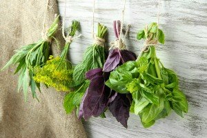 Fresh herbs on wooden background