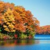 Autumn colorful foliage over lake with beautiful woods in red an