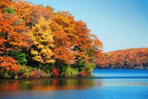 Autumn colorful foliage over lake with beautiful woods in red an