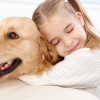 Cute little girl hugging golden retriever with love eyes closed,