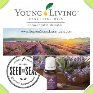 <imgsrc="young-living-independent-distributor.jpg"alt="Young Living Independent Distributor"/>